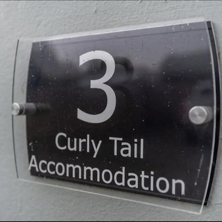 בישופס קאסל Curly Tail Accommodation מראה חיצוני תמונה